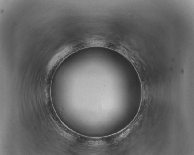 X0000062930245200601181317