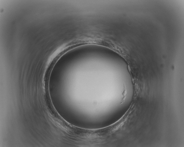 X0000062930246200601181317