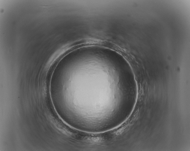 X0000062930247200601181317