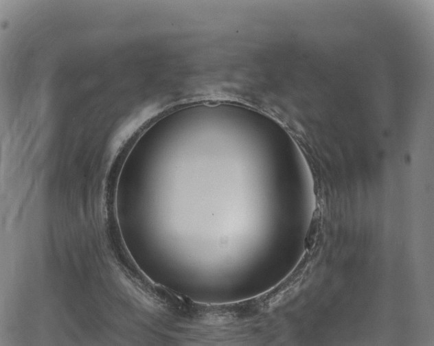 X0000062930248200601181317