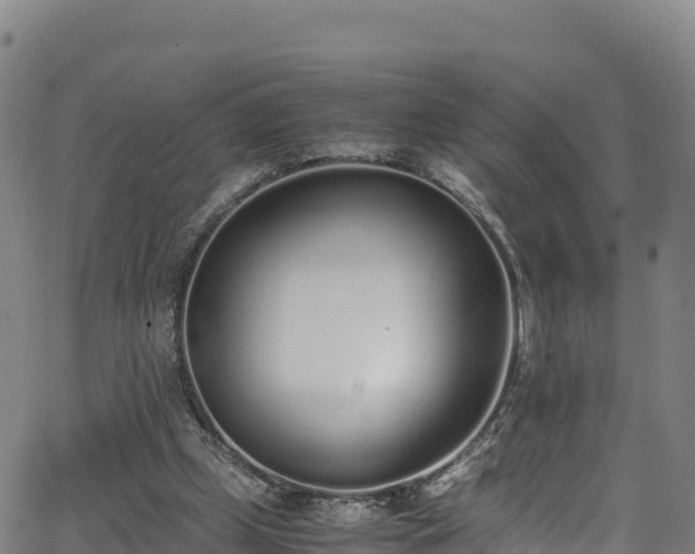 X0000062930249200601181317