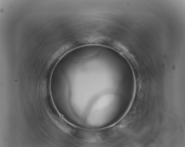 X0000062930250200601181317