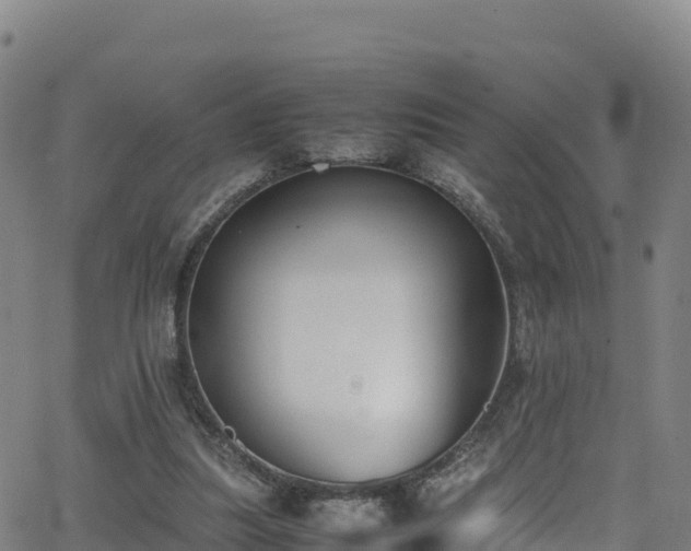 X0000062930251200601181317