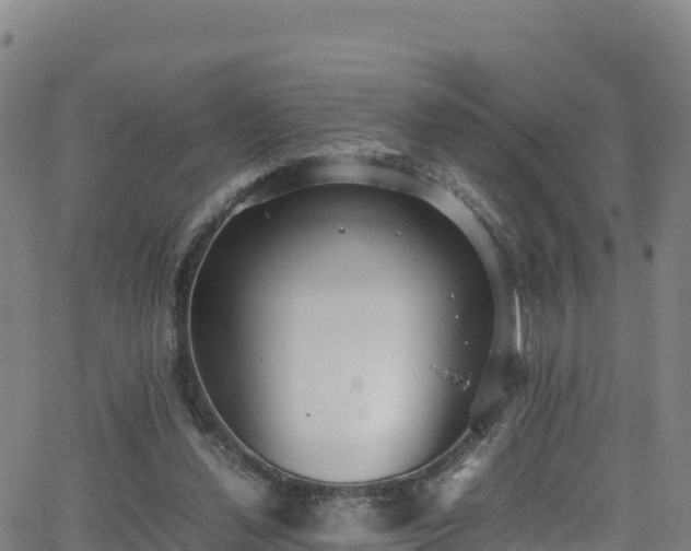 X0000062930252200601181317