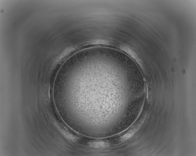 X0000062930253200601181317