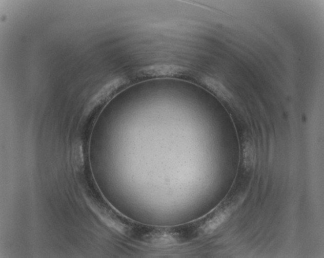 X0000062930254200601181317