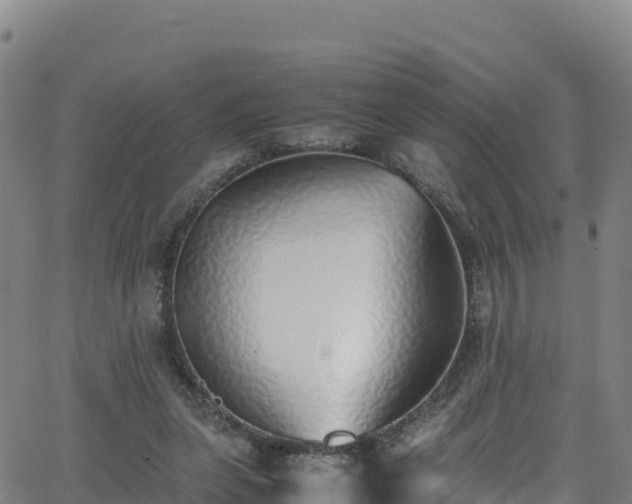 X0000062930255200601181317