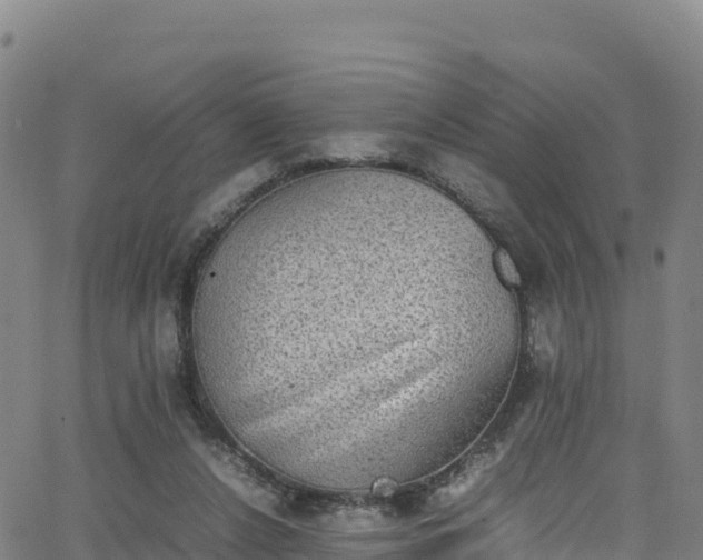 X0000062930256200601181317