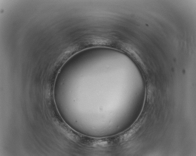 X0000062930257200601181317