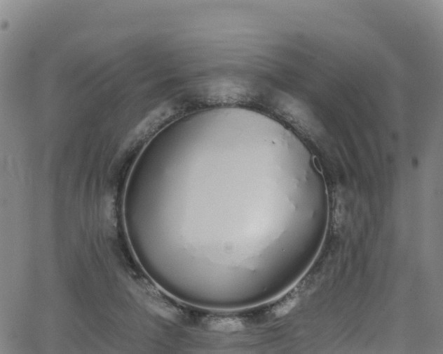 X0000062930258200601181317