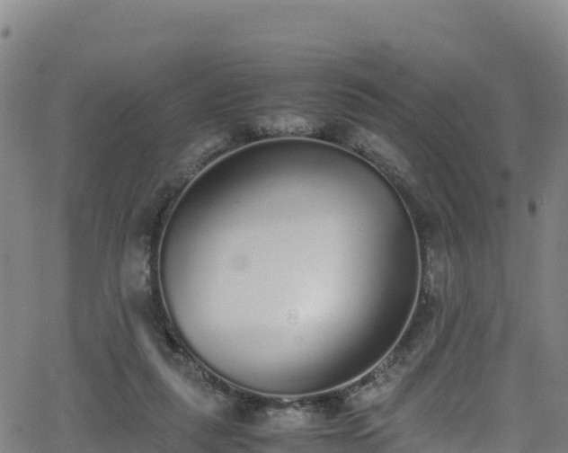 X0000062930259200601181317