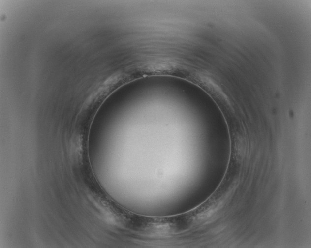 X0000062930260200601181317