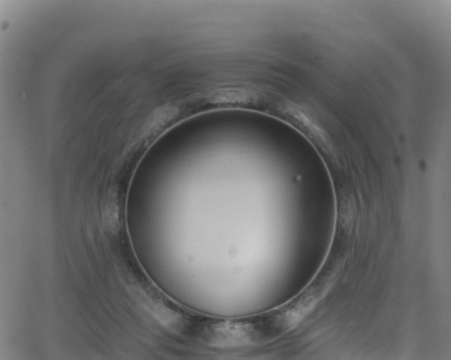 X0000062930261200601181317