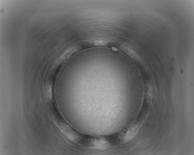 X0000062930262200601181317