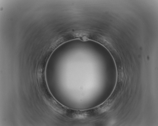 X0000062930263200601181317