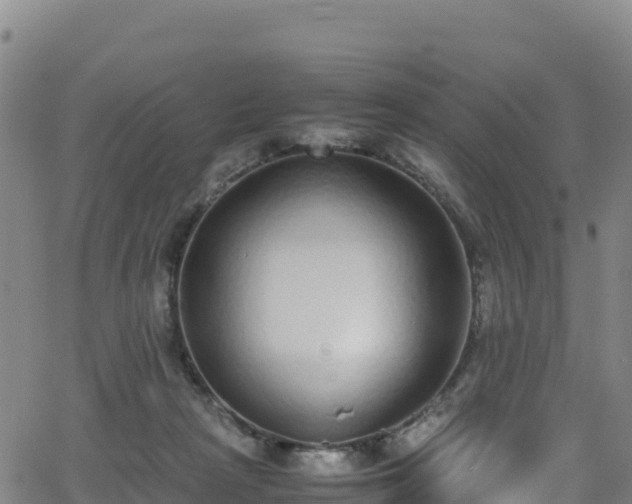 X0000062930265200601181317