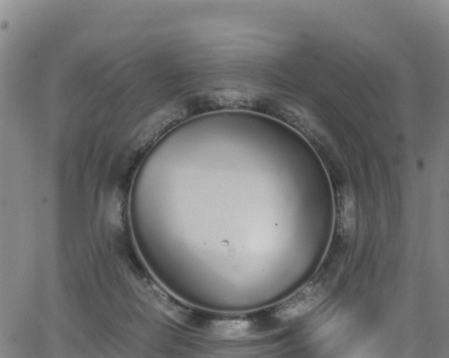 X0000062930266200601181317