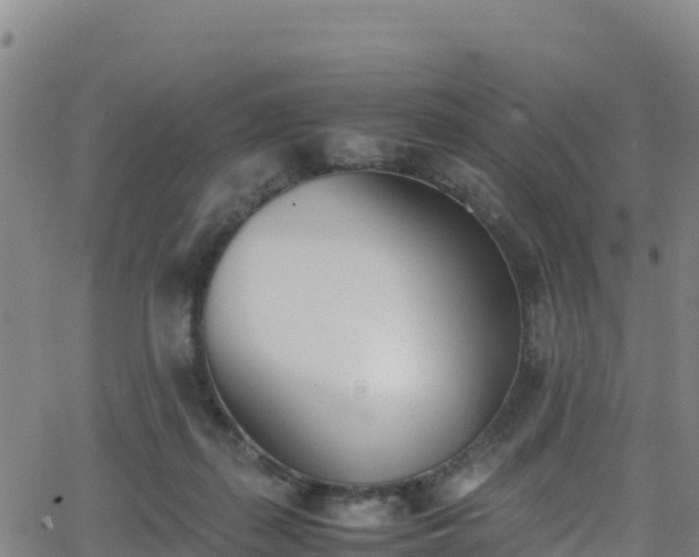 X0000062930267200601181317