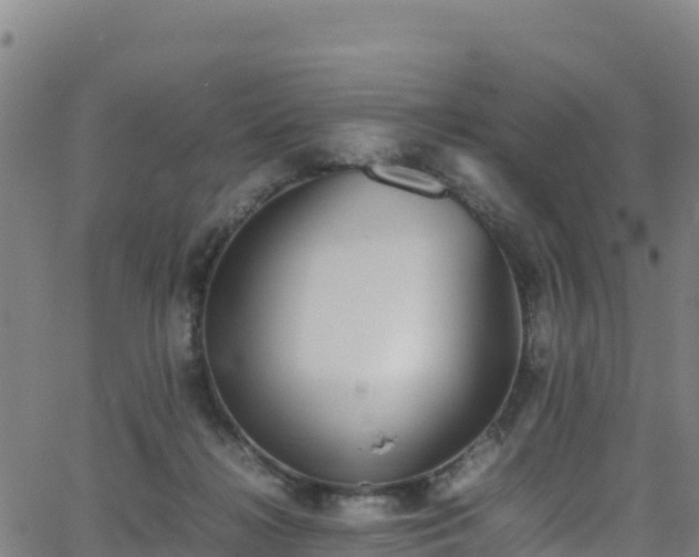 X0000062930268200601181317