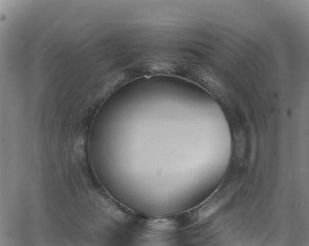 X0000062930269200601181317