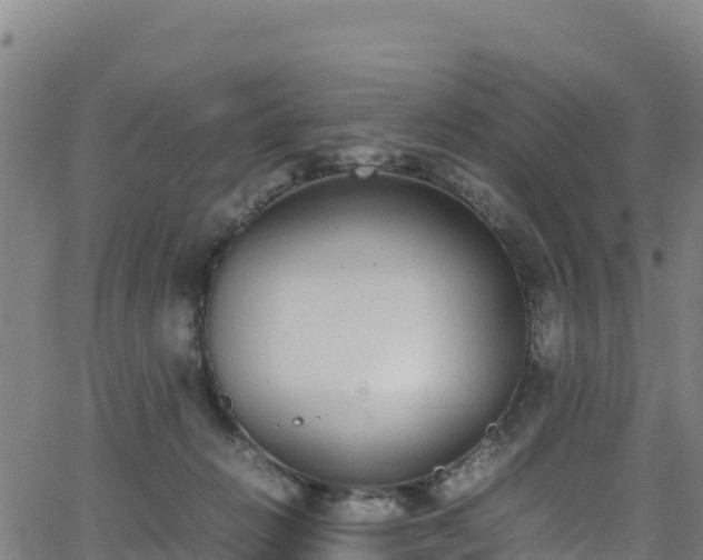 X0000062930270200601181317