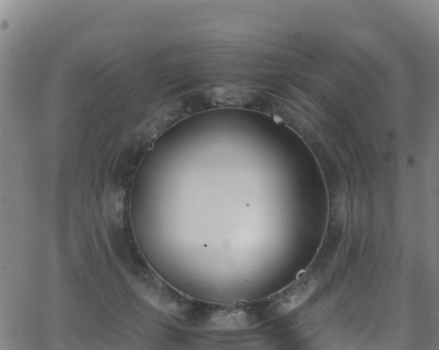 X0000062930271200601181317