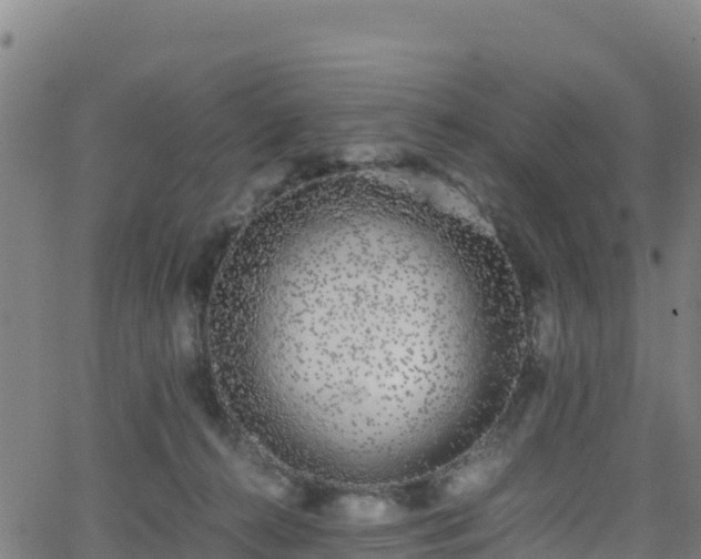 X0000062930272200601181317