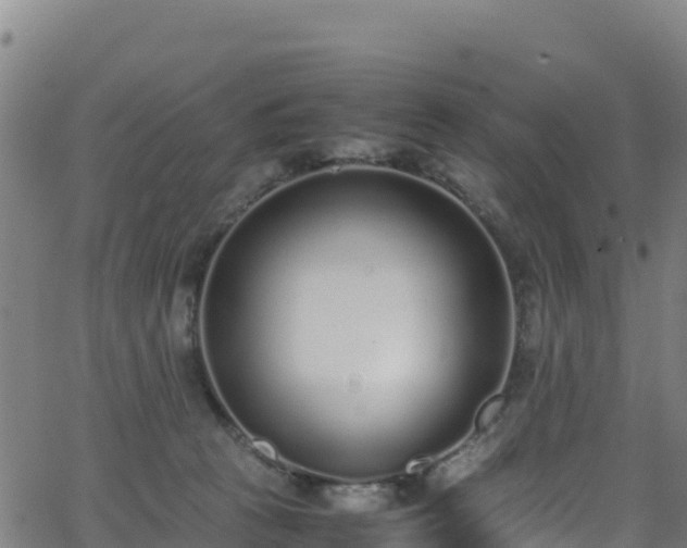 X0000062930273200601181317