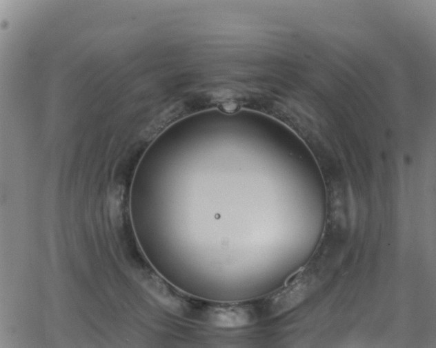 X0000062930275200601181317