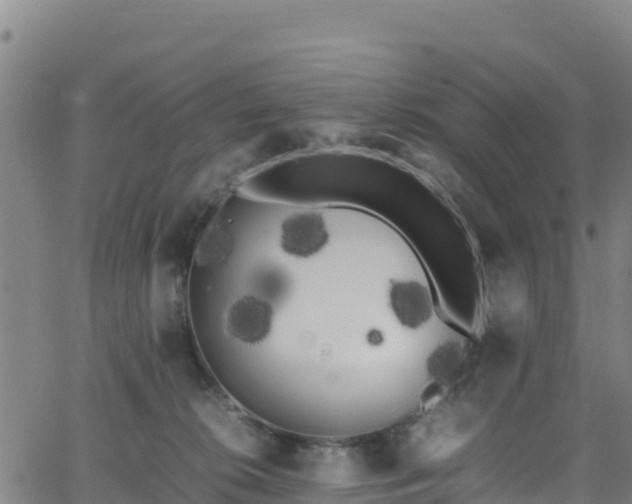 X0000062930276200601181317