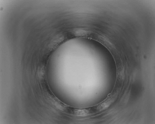 X0000062930277200601181317