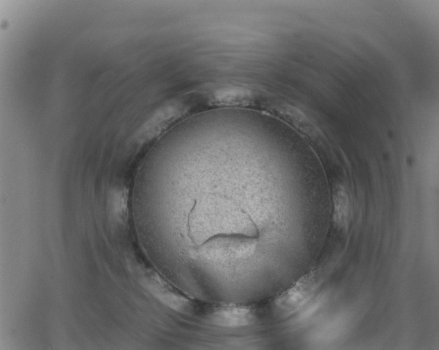 X0000062930278200601181317