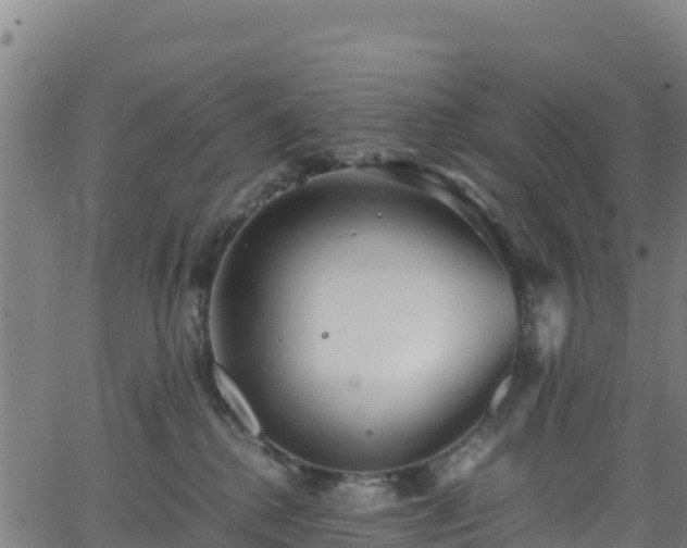 X0000062930280200601181317