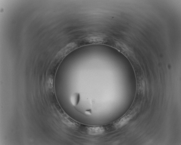 X0000062930281200601181317