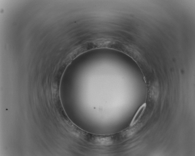 X0000062930283200601181317