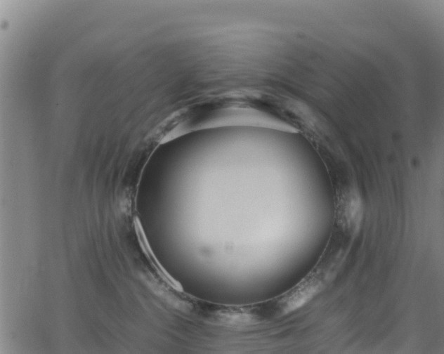 X0000062930284200601181317