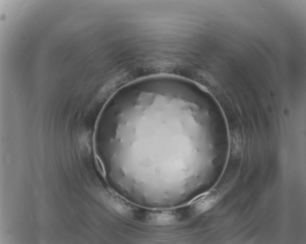 X0000062930286200601181317