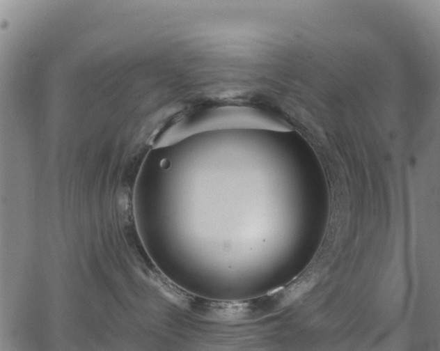 X0000062930288200601181317