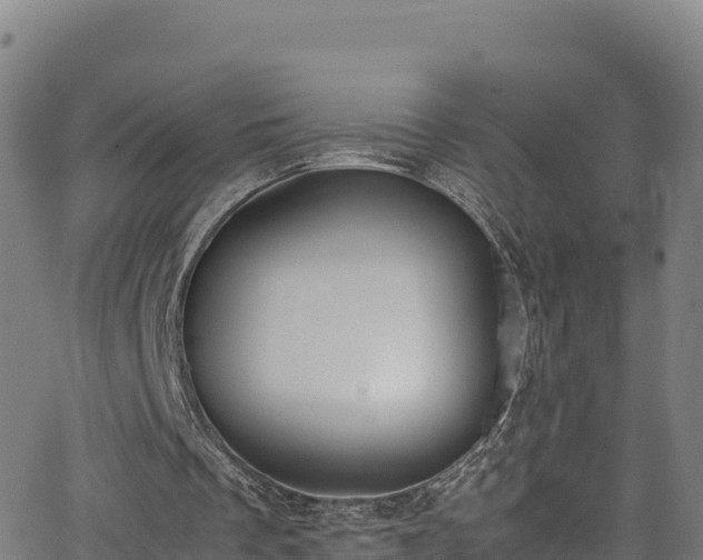 X0000062930289200601181316