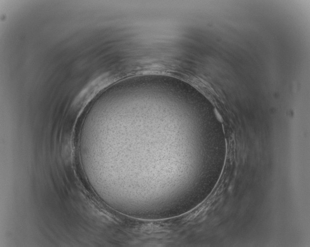 X0000062930290200601181316