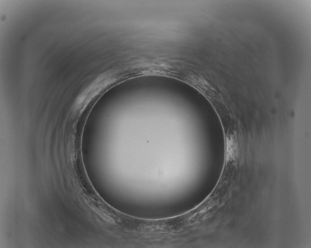 X0000062930291200601181316