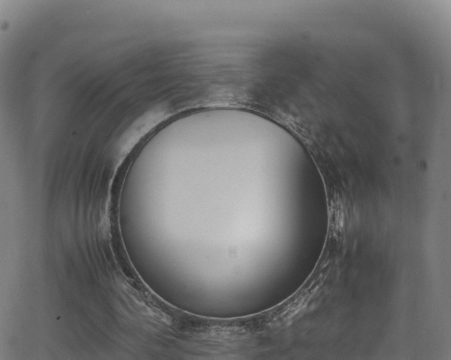 X0000062930292200601181316