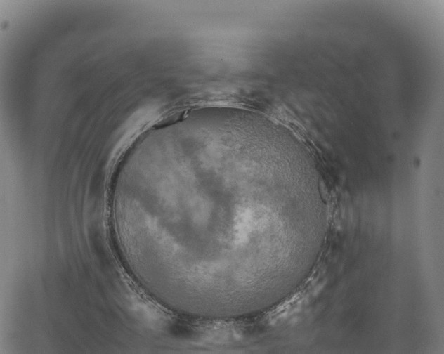 X0000062930293200601181316