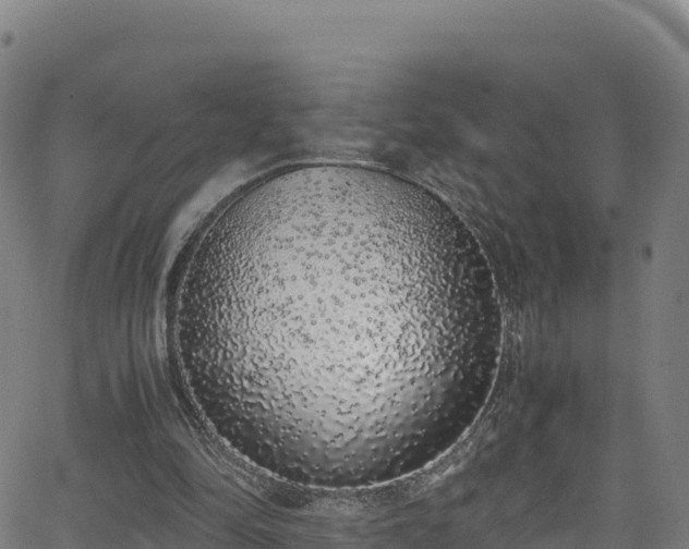 X0000062930294200601181316