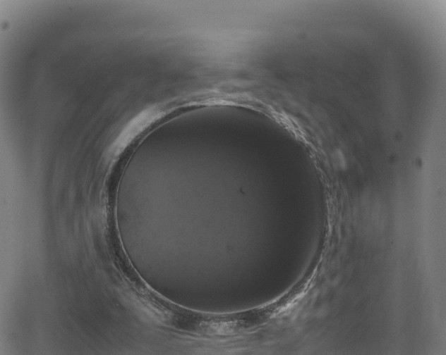 X0000062930295200601181316