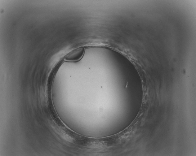 X0000062930296200601181316