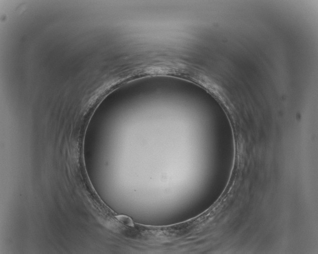 X0000062930297200601181316