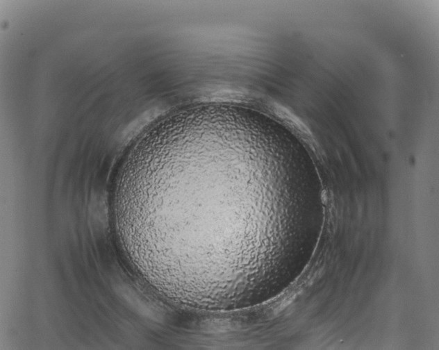 X0000062930298200601181316