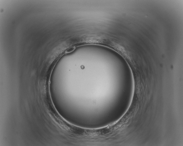 X0000062930299200601181316