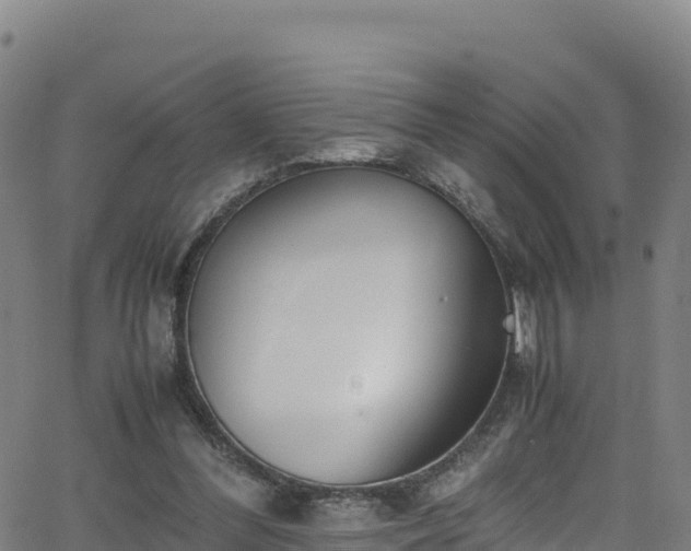 X0000062930300200601181316